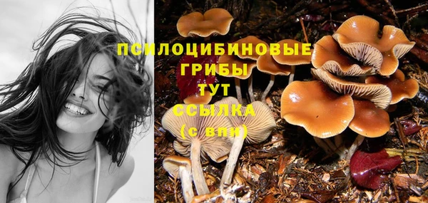 не бодяженный Армянск