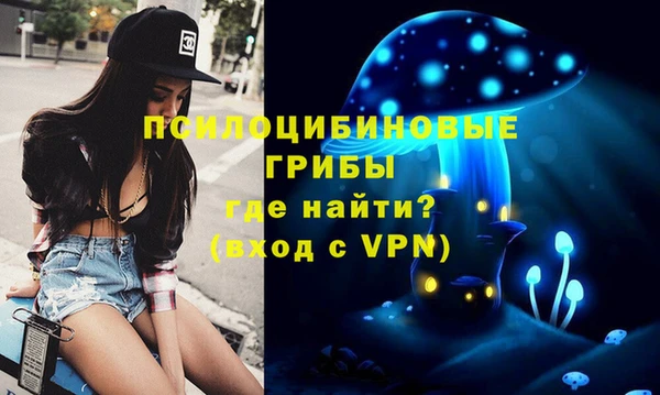 ECSTASY Аркадак