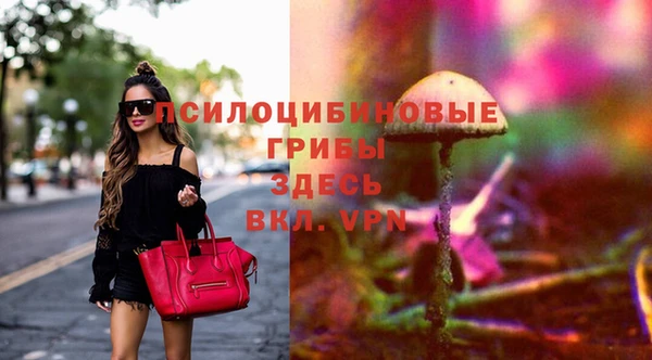 винт Белоозёрский