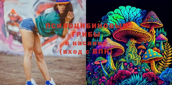 не бодяженный Армянск