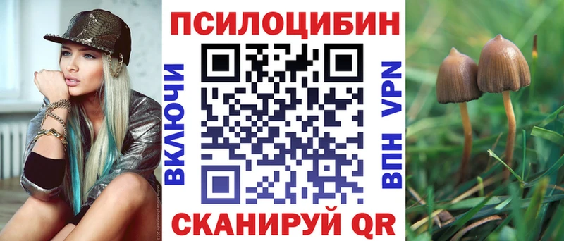 omg рабочий сайт  где купить наркоту  Мурманск  Псилоцибиновые грибы прущие грибы 