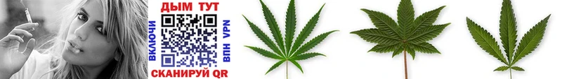 дарк нет состав закладки Мурманск Марихуана White Widow